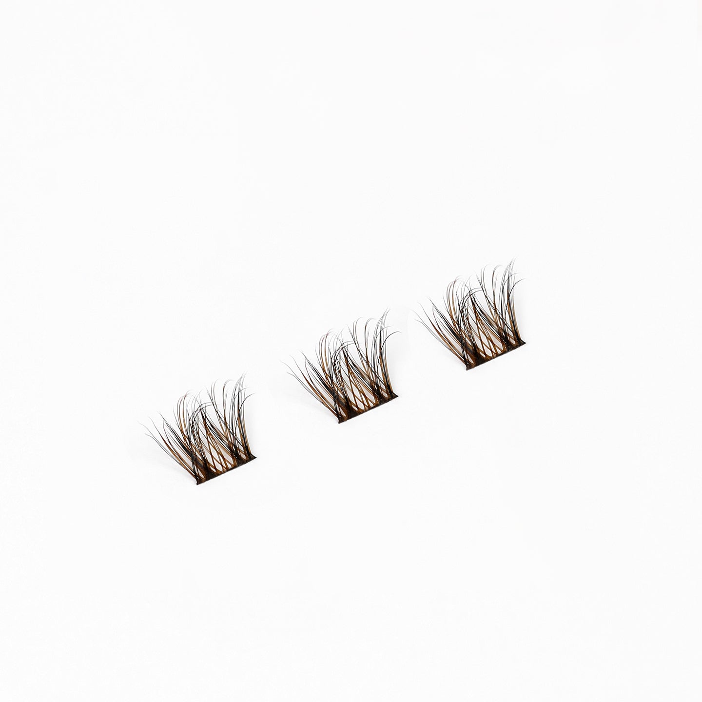 Daydream (Brown/Black) - DUFFBEAUTY