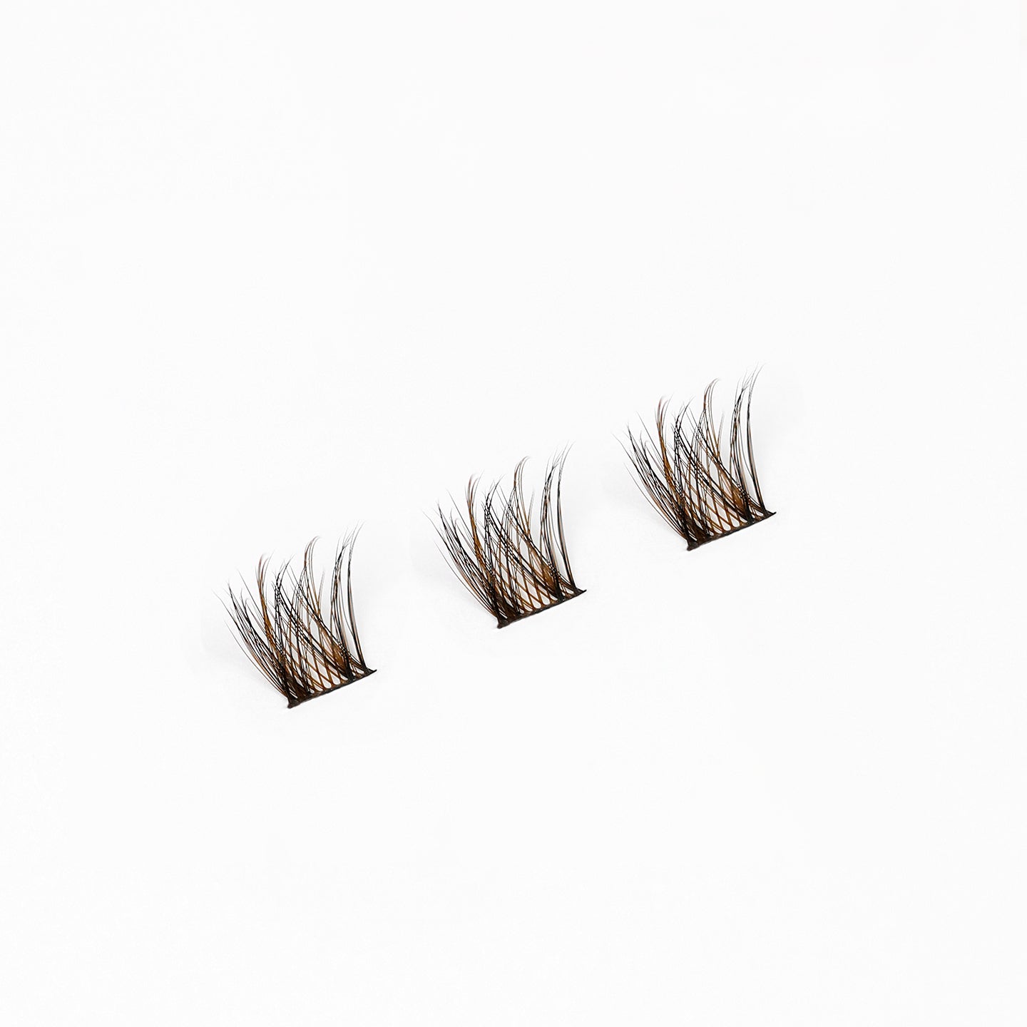 Daydream (Brown/Black) - DUFFBEAUTY