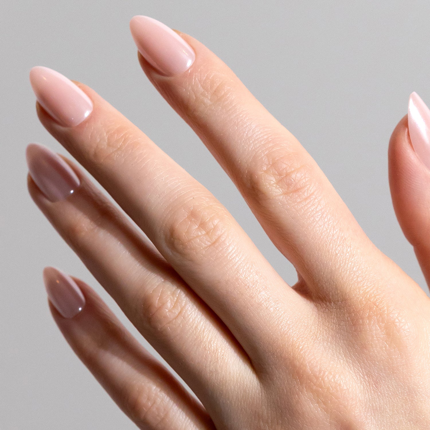 Glazed Donut (Medium)