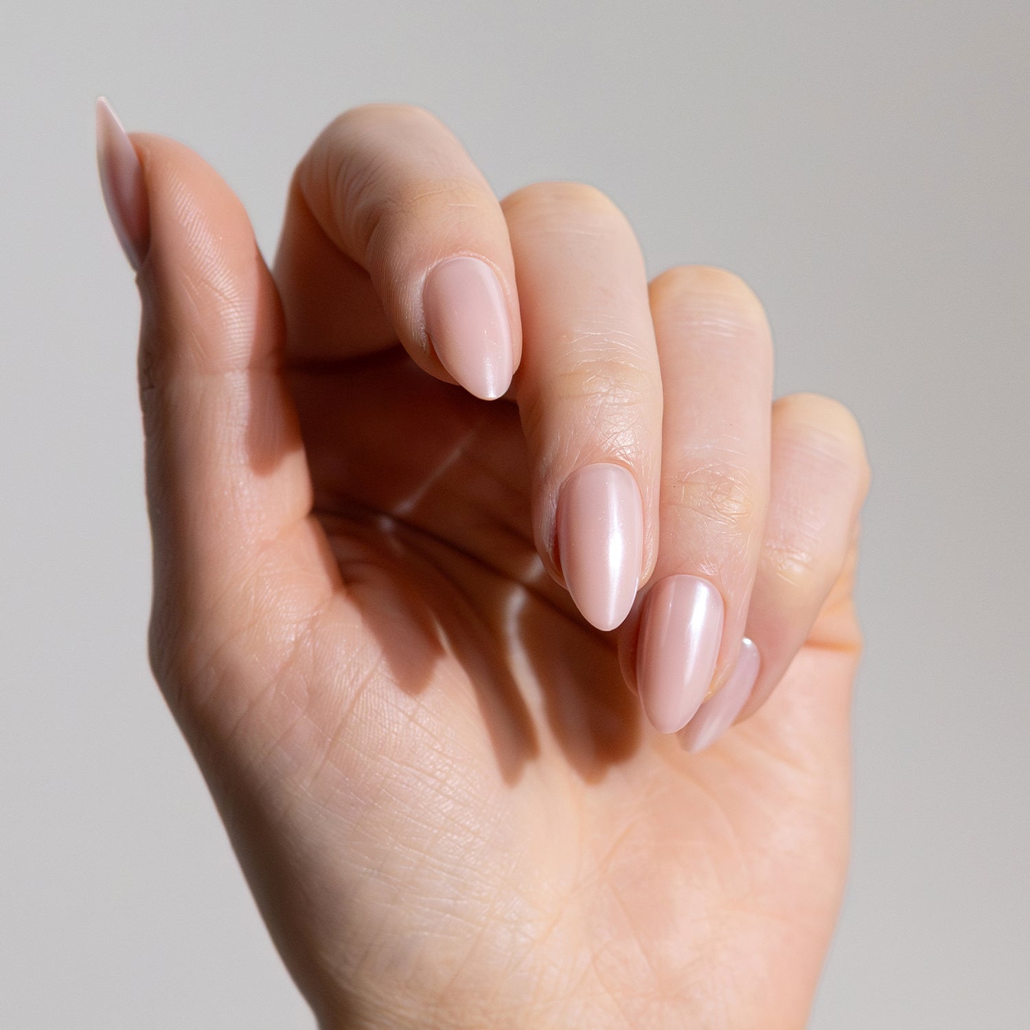 Glazed Donut (Medium)