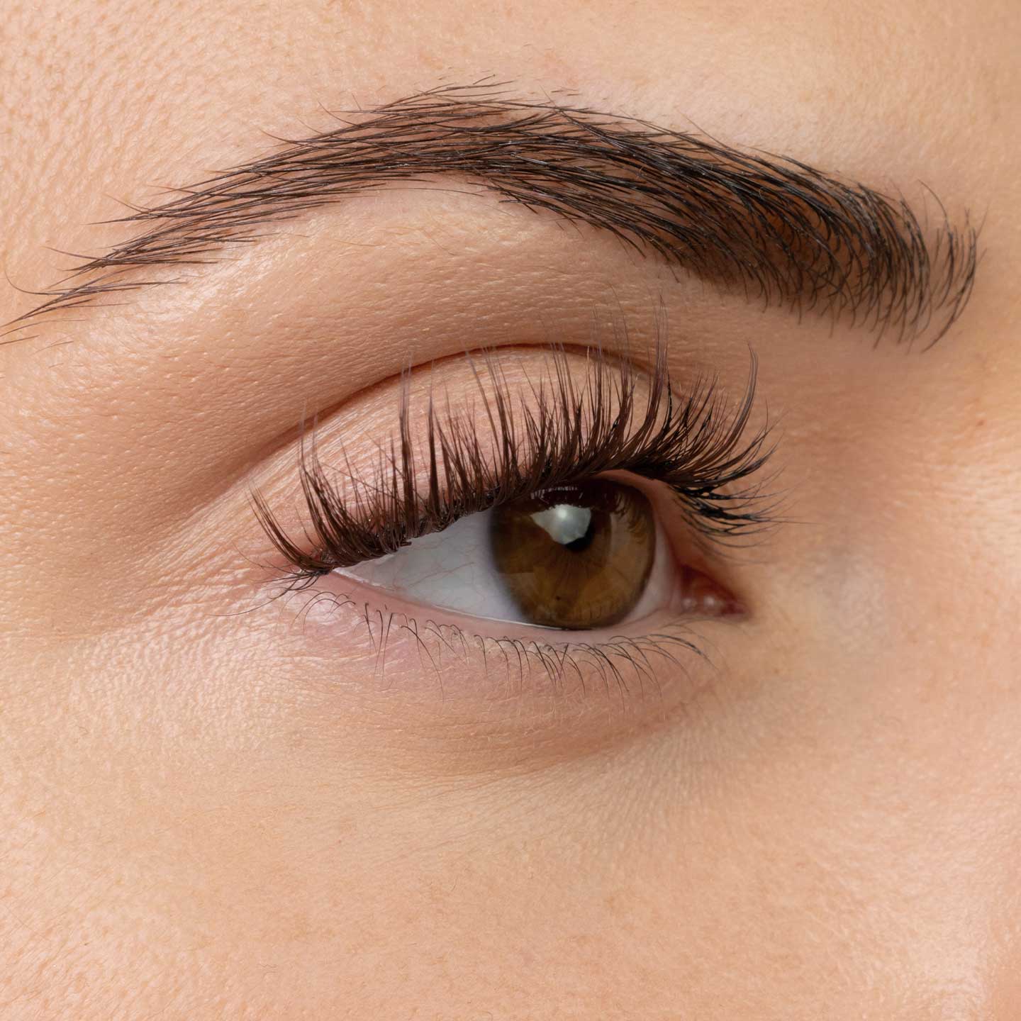 Flirt (Brown)