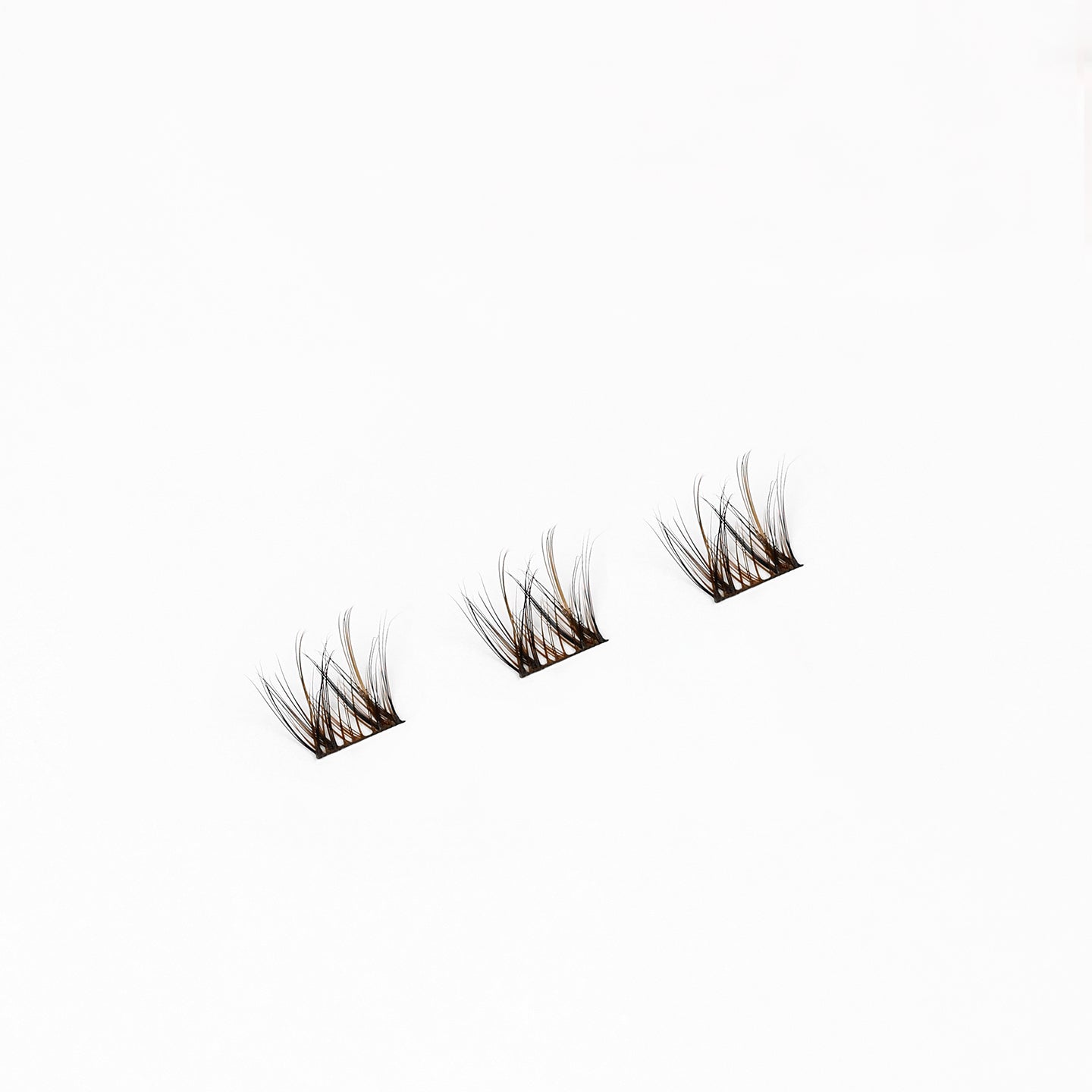 Daydream (Brown/Black) - DUFFBEAUTY