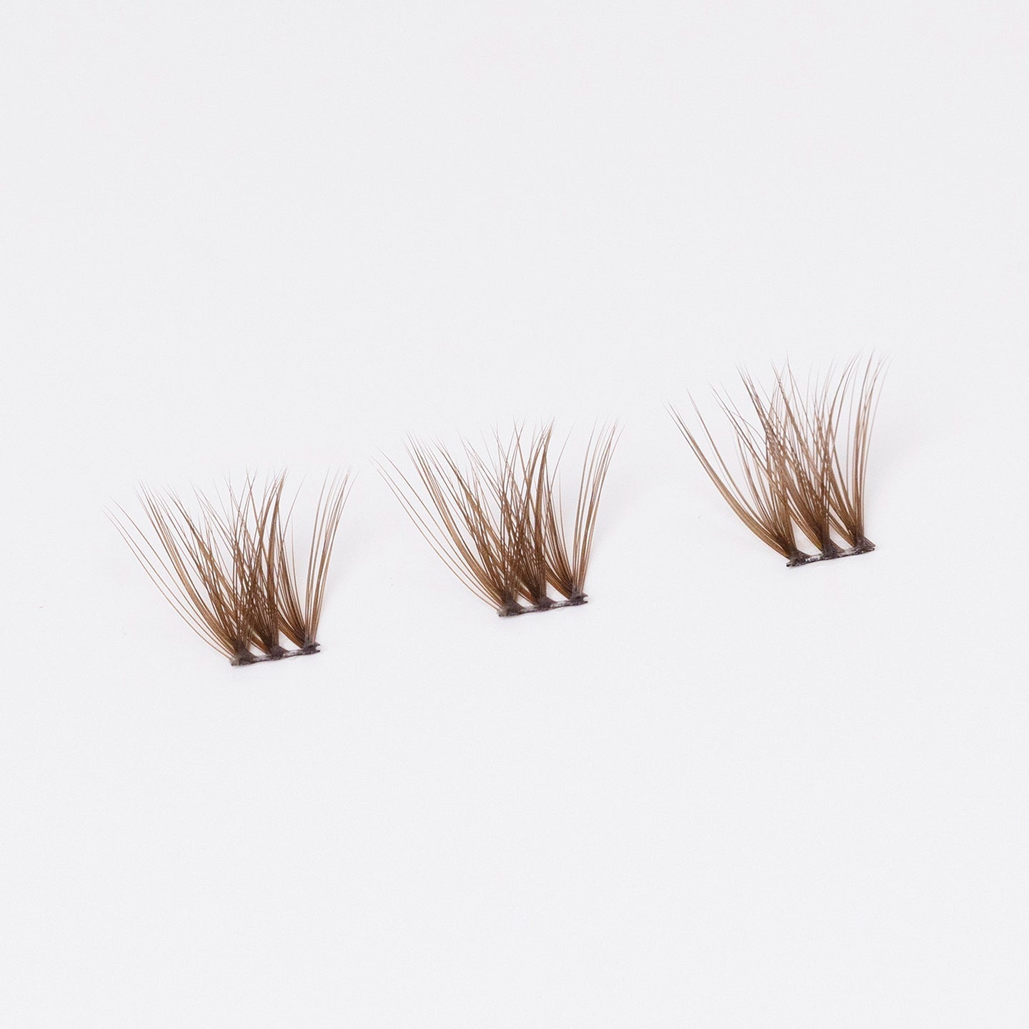 Hybrid Medium Brown