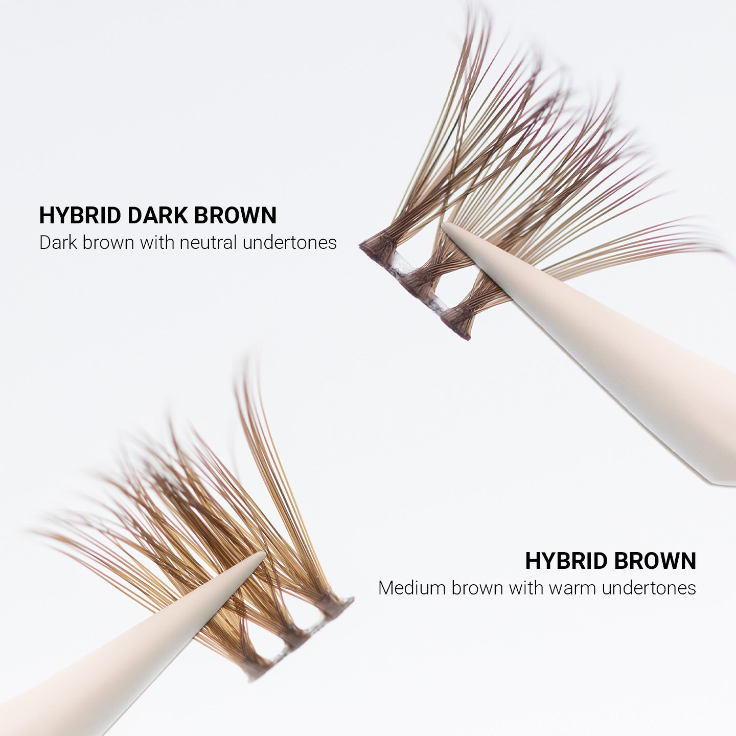 Hybrid Medium Brown