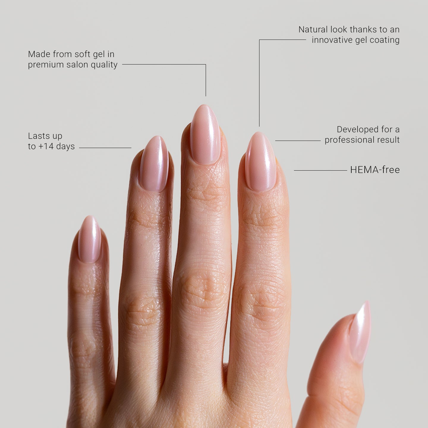 Glazed Donut (Medium)