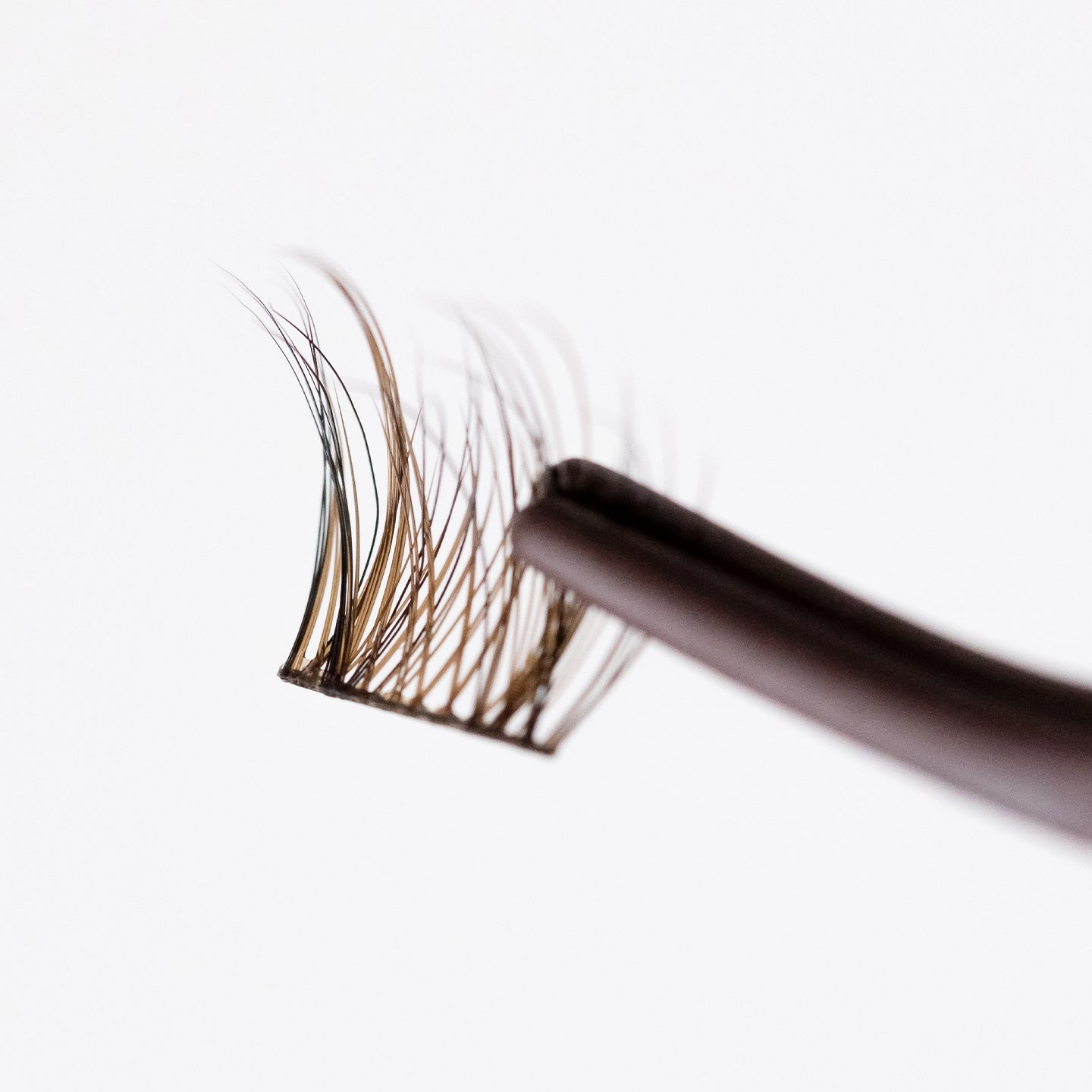 Daydream (Brown/Black) - DUFFBEAUTY