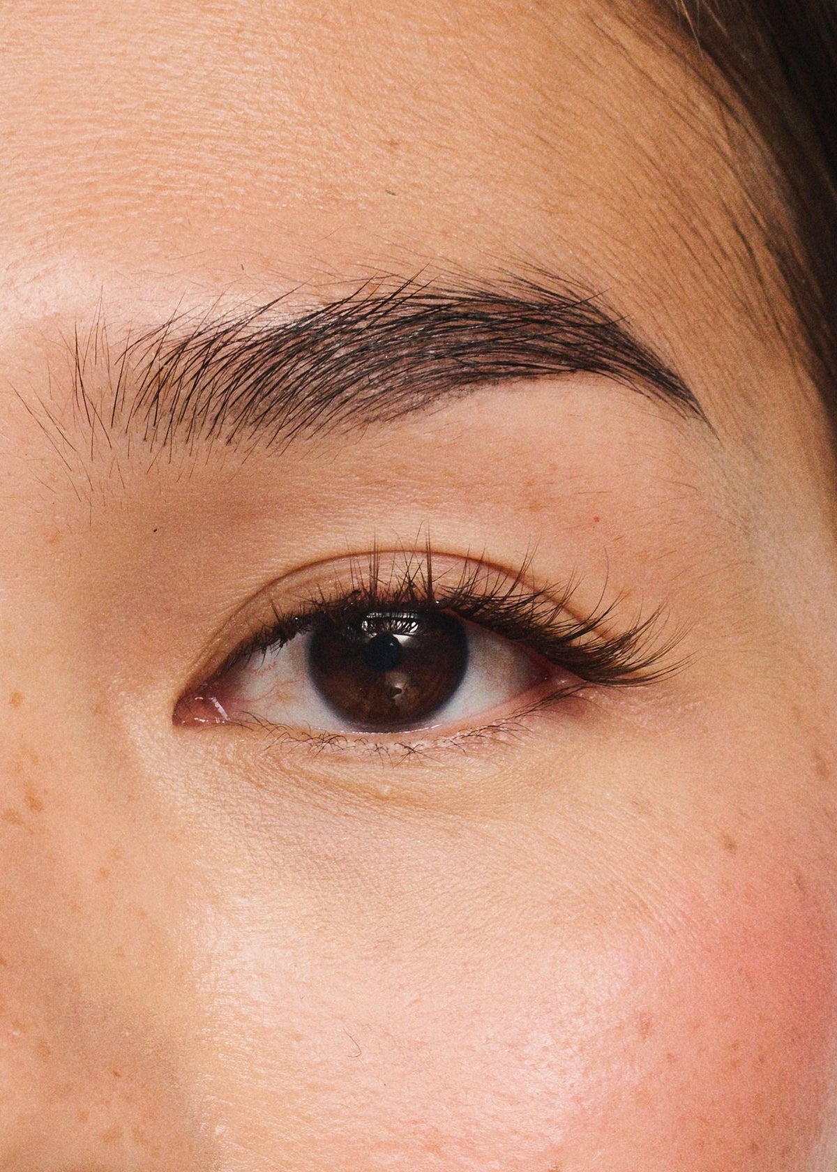 Daydream (Brown/Black), worn on the eye