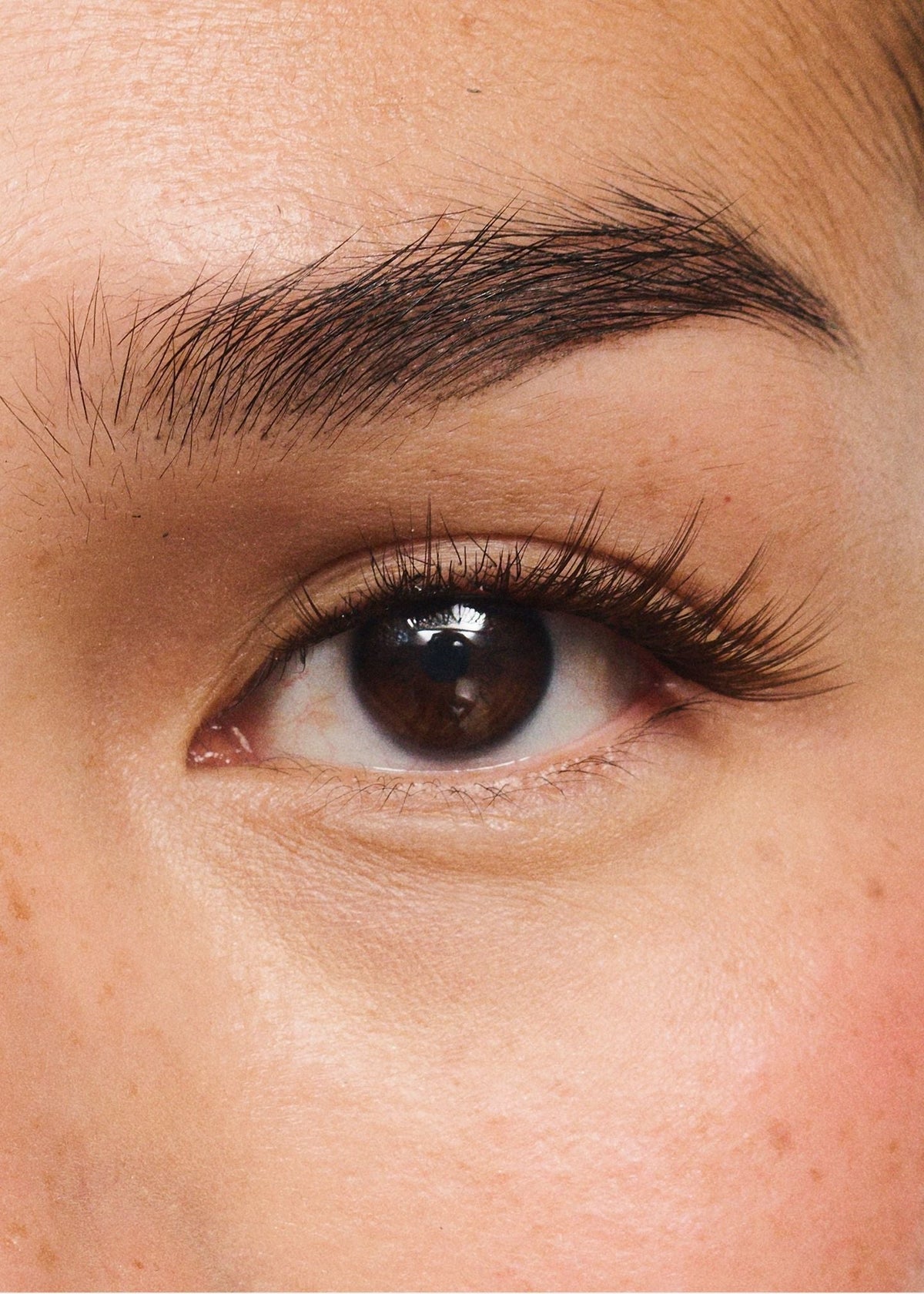 Flirt (Brown), worn on the eye