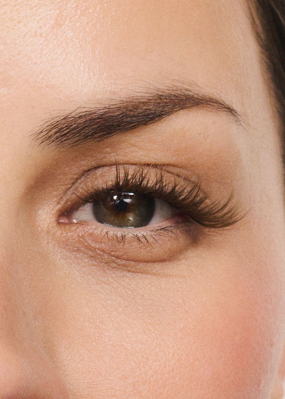 Hybrid Medium Brown, worn on the eye